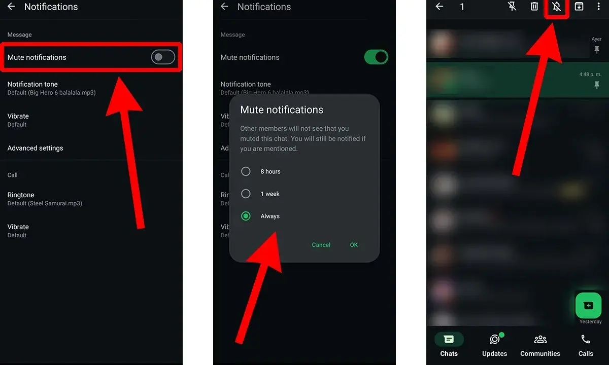 Schermata di un'app di messaggistica che mostra come silenziare le notifiche di un messaggio. Se non so cosa rispondere, posso silenziare la chat.