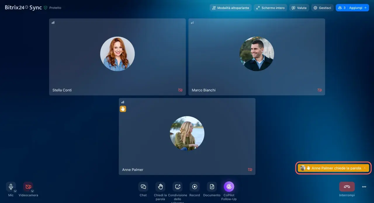 Anne Palmer chiede la parola. Ho bisogno di parlare con qualcuno in chat. Tre persone in videochiamata.