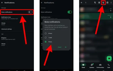 Schermata di un'app di messaggistica che mostra come silenziare le notifiche di un messaggio. Se non so cosa rispondere, posso silenziare la chat.