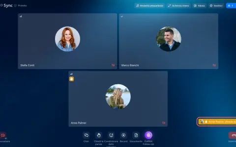 Anne Palmer chiede la parola. Ho bisogno di parlare con qualcuno in chat. Tre persone in videochiamata.