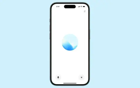 Schermo di un telefono con un'icona circolare blu e bianca al centro, che ricorda un'onda. In basso, un'icona microfono e una "x". Interfaccia per la cam voice.