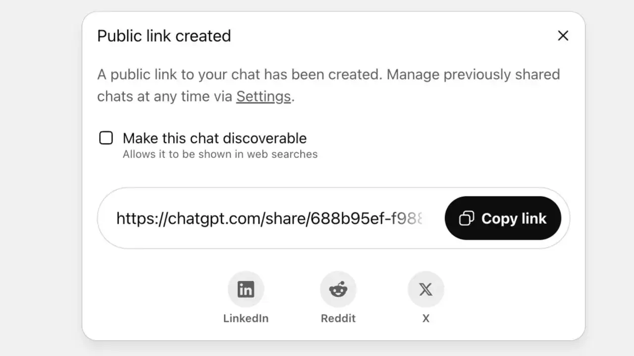 Link pubblico creato per una conversazione. Opzione per renderla ricercabile, come in un Virgilio chat. Copia il link per condividerlo.